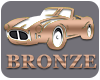 bronze-icon1002