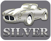 silver-icon1002
